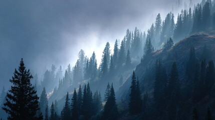 Misty mountain scene. Evergreen trees cascade down a hillside shrouded in atmospheric fog, light breaking through the trees