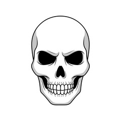 Fototapeta premium Detailed Skull Illustration with Intricate Dental and Eye Socket Features.