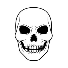 Fototapeta premium Detailed Skull Illustration with Intricate Dental Structure and Dark Eye Sockets.