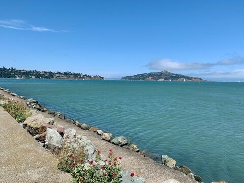 Scenic Bay Walk with Coastal Views and San Francisco Skyline in the Distance