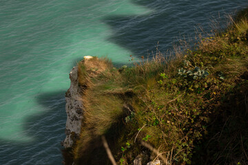 Steep white cliffs overlooking the calm sea at Étretat, Normandy. Majestic coastal landscape under a soft cloudy sky, symbolizing natural beauty and serenity.