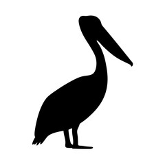 Silhouette of a Standing Pelican with a Long Beak on White Background