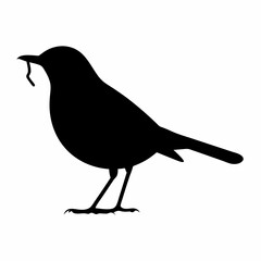 Obraz premium Silhouette of a bird carrying a worm in its beak, against white