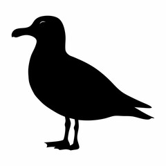 Silhouette of a seagull standing tall against a crisp white background