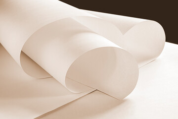  Long sheets of paper from a roll in a warm ochre tone.