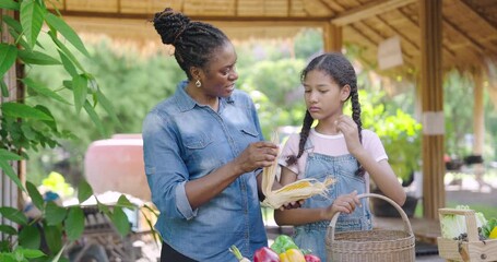 african american woman and girl discussing harvested vegetables at school garden counter during organic farming class teaching food handling and distribution methods in agriculture - Powered by Adobe