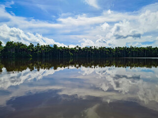 Calm waters of Lago Sandoval in the Peruvian Amazon, Peru.