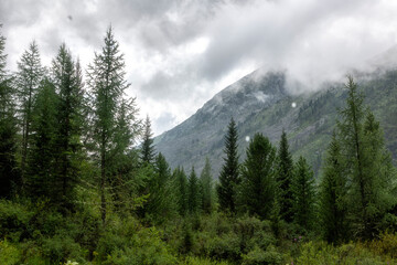 Fototapeta premium Mountain landscape with fog and clouds. Altai, Russia.