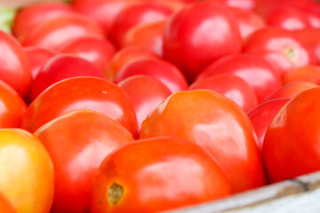 Fresh red tomatoes for cooking. High vitamin food.