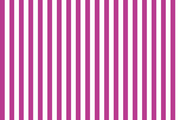 Obraz premium Pink Plum color and white color background with lines. traditional vertical striped background texture.