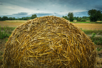 Close-up view of a round straw bale on a stubble field and a cloudy sky