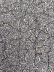 Cracked asphalt texture with green moss growing in the fissures