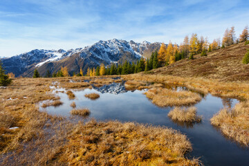 kleiner Bergsee in einem Meer aus herbstlichen Lärchen und verschneitem Berg im Hintergrund