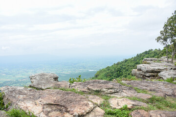 Steep rocky cliff overlooks a vast green forested valley below.