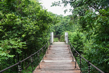 A wooden suspension bridge leads into a thick, green forest.