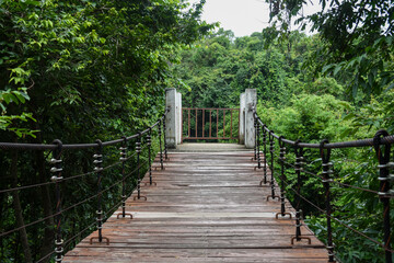 A wooden suspension bridge leads into a thick, green forest.
