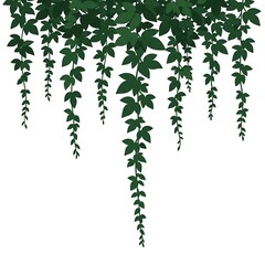 Lush Green Cascading Leaves Top Border Vector Illustration