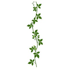 Green Vine Garland Border Element Illustration