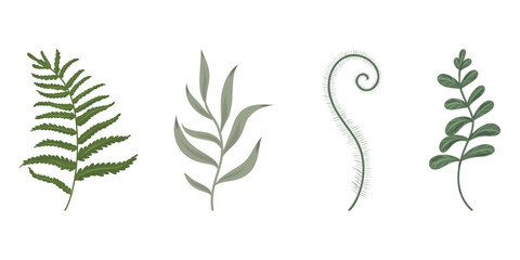 Set botanical twigs. Collection vector botanical decorative illustration.