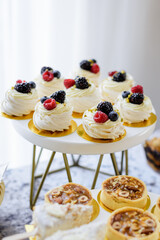 Elegant display of gourmet mini Pavlova meringue desserts topped with whipped cream and fresh raspberries, blueberries, blackberries on a stylish white and gold tiered stand