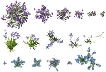 Collection of various blue and purple flowering plants, top view, isolated on transparent background, botanical set for landscape design and digital rendering