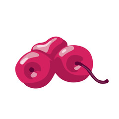 Cherry berries cosmetic ingredient component illustration