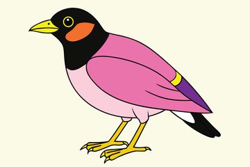 Illustration of a pink robin perched, a colorful bird with pink plumage isolated