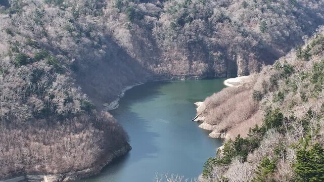 A cinematic drone ascent through lush winter trees reveals the distant mountains over Kido Dam under clear skies. Perfect for nature, travel, and cinematic landscapes.