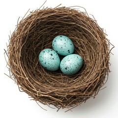 Obraz premium A delicate, empty bird nest cradling three small, speckled blue eggs, starkly isolated against a pure white studio background, signifying spring renewal ,cutout ,spring ,bird