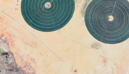 Green Mirage: Circular Crop Fields in the Saudi Desert – Aerial Drone Shot