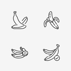 Obraz premium Set of vector bird icons flying in various styles