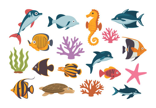 Colorful Fish Sea Animal Ocean Aquatic Illustrations Set
