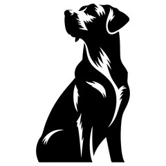black silhouette of a dog