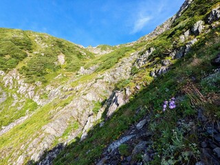 beautiful steep slope along a stream on the way to Mt. Akaishidake, Shizuoka City, Shizuoka Prefecture, Japan in August.