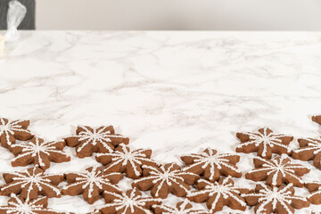 Decorating Snowflake Chocolate Ginger Sugar Cookies with Royal Icing and Sugar Crystals