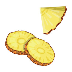 Pineapple slices, ingredient, illustration