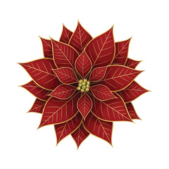 Elegant red poinsettia flower with golden edges, isolated on a white background.
