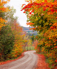 Driving along a winding autumn country road, Wakefield, Quebec, Canada 