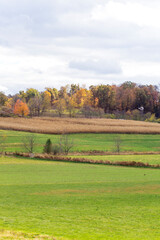 Rolling Hills Agricultural Land in Autumn, Holmes County, Ohio