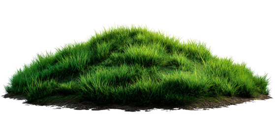 Lush Green Hill with Vibrant Grass and Soft Ground Texture Isolate on Transparent Background, cutout, png