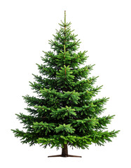 Blank undecorated pine Christmas tree mockup with full lush green branches, isolated on transparent background, png