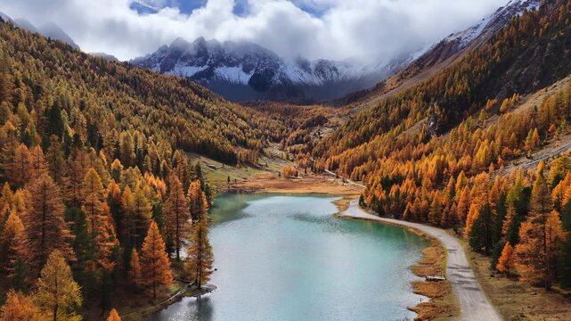 aerial landscape of autumn alpine lake with a golden larch forest. The beauty of snowy, high mountain peaks in French Alps in the fall, seasonal mountain landscape