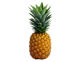 Fototapeta premium design - Fresh Pineapple Isolated on Transparent Background