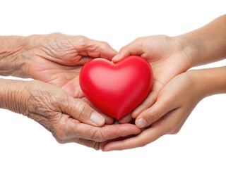 Fototapeta premium Two hands, one aged and one young, hold a bright red heart symbolizing love and connection across generations.
