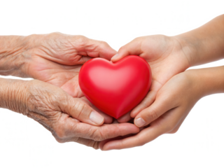 Two hands, one aged and one young, hold a bright red heart symbolizing love and connection across generations.