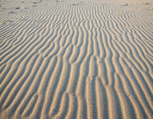 Fototapeta premium Clean Tropical Beach Sand Texture