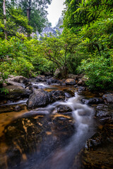 Flowing stream over rocks in lush green forest during the rainy season