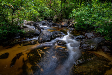 Flowing stream over rocks in lush green forest during the rainy season