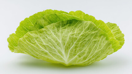 Fototapeta premium Brussels Sprout Leaf, a single, fresh, outer leaf from a Brussels sprout, flat lay, top-down view. The leaf is perfectly centered on a pure white background.
