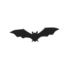 natural bat flying position